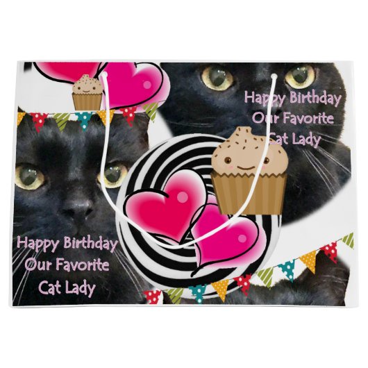 Gelukkige Verjaardag Gift Bag Kat Lady Groot Cadeauzakje (Voorkant)