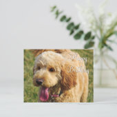 Gelukkige verjaardag Goldendoodle hond Briefkaart (Staand voorkant)