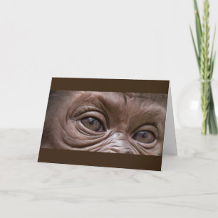 Gelukkige Verjaardag Gorilla Kaart