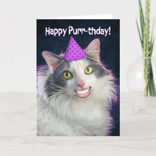 Gelukkige Verjaardag Grappige Kat Met Menselijke G Feestdagen Kaart