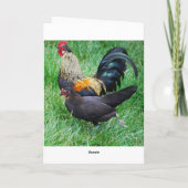 Gelukkige Verjaardag Haan en Hen Kaart (Achterkant)