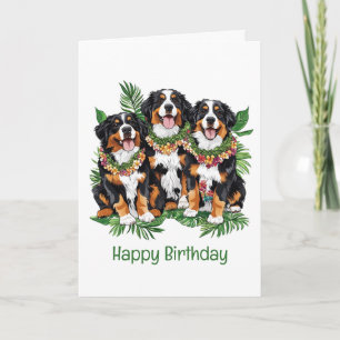 Gelukkige Verjaardag Hawaiian Berner Mountain Dogs Kaart