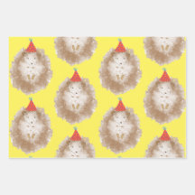 Gelukkige verjaardag Hedgehog