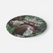 Gelukkige Verjaardag Heilige Koe! Papieren Bordje (Gekanteld)