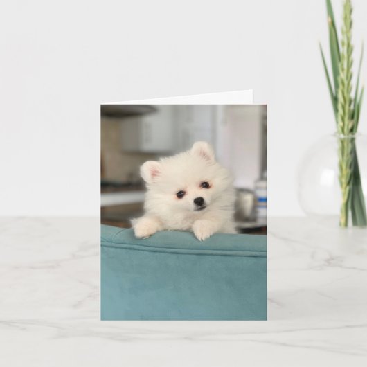 Gelukkige Verjaardag/ Het ene Schattige Critter na Kaart (Voorkant)