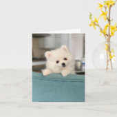 Gelukkige Verjaardag/ Het ene Schattige Critter na Kaart (Gele Bloem)