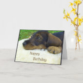 Gelukkige Verjaardag, het leuke puppy van de Kaart (Gele Bloem)