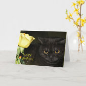 Gelukkige Verjaardag - het Wenskaart van de Kat Kaart (Gele Bloem)