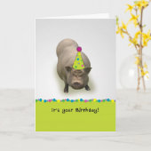 Gelukkige Verjaardag, het Wenskaart van het Varken Kaart (Gele Bloem)