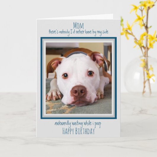 Gelukkige Verjaardag Hond Mama Grappig Schattige H Kaart (Gele Bloem)