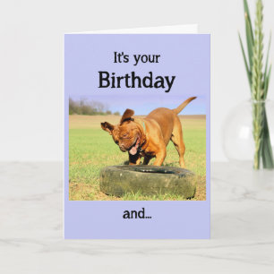 Gelukkige Verjaardag Hond Met Leuke Tijd Kaart
