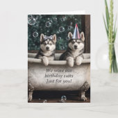 Gelukkige Verjaardag Humoristische Huskies in een  Kaart (Voorkant)