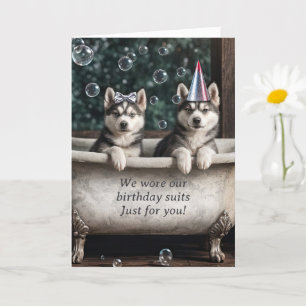 Gelukkige Verjaardag Humoristische Huskies in een  Kaart