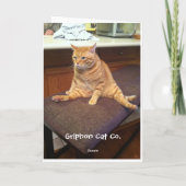 Gelukkige verjaardag in kattenjaren kaart (Achterkant)