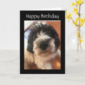 GELUKKIGE *VERJAARDAG* JE MAAKT MIJN STAART WAG KAART (Gele Bloem)