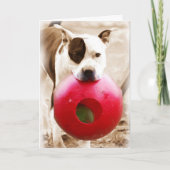 Gelukkige Verjaardag Kaart (Voorkant)