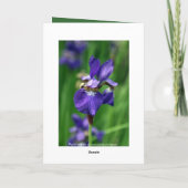 Gelukkige Verjaardag Kaart (Achterkant)