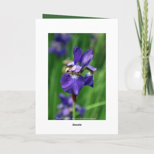 Gelukkige Verjaardag Kaart (Achterkant)