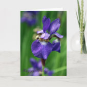 Gelukkige Verjaardag Kaart (Voorkant)