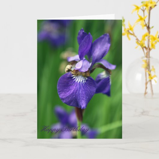 Gelukkige Verjaardag Kaart (Gele Bloem)