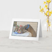 Gelukkige Verjaardag Kaart (Gele Bloem)