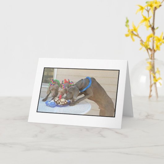 Gelukkige Verjaardag Kaart (Gele Bloem)