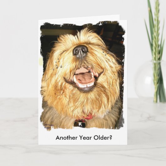 Gelukkige Verjaardag Kaart (Voorkant)