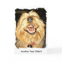 Gelukkige Verjaardag