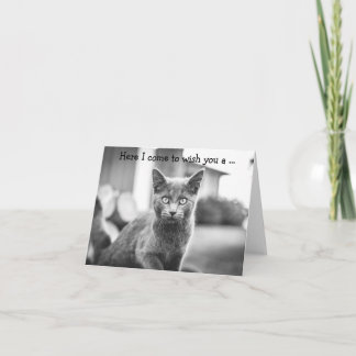 Gelukkige Verjaardag Kaart: Grey Cat Kaart
