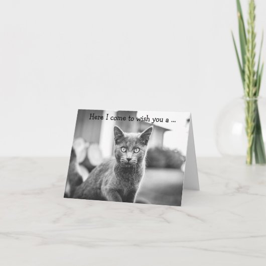 Gelukkige Verjaardag Kaart: Grey Cat Kaart (Voorkant)