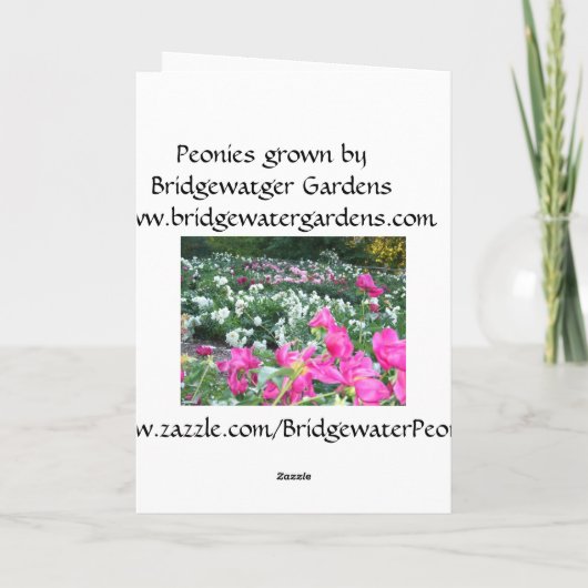 Gelukkige Verjaardag Kaart Roze Pioenen / Pioenblo (Achterkant)