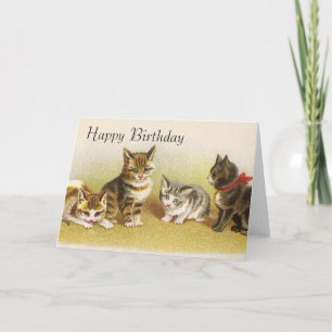 Gelukkige Verjaardag Kaarten - Kittys