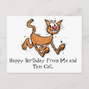 Gelukkige verjaardag kat briefkaart