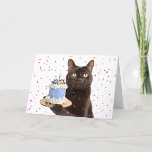 Gelukkige Verjaardag Kat Met Verjaardag Kat Feestdagen Kaart