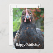 Gelukkige verjaardag kip... Partridge Cochin Postc Briefkaart (Voorkant / Achterkant)