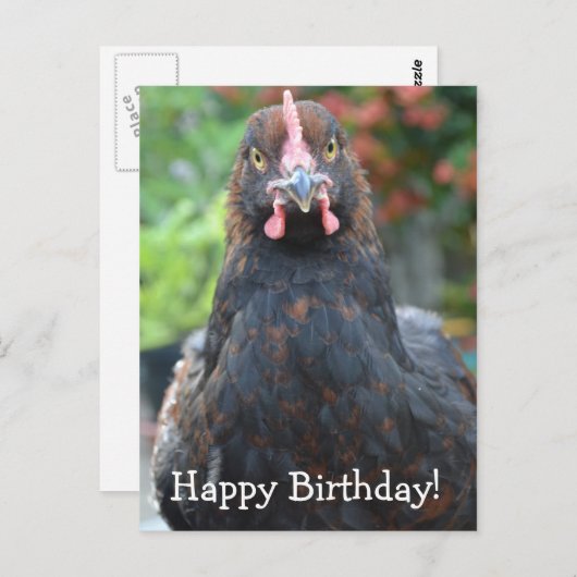 Gelukkige verjaardag kip... Partridge Cochin Postc Briefkaart (Voorkant / Achterkant)