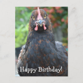 Gelukkige verjaardag kip... Partridge Cochin Postc Briefkaart