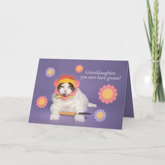 Gelukkige Verjaardag Kleindochter Kat in Flower Pe Feestdagen Kaart (Voorkant)
