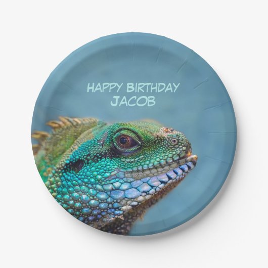 Gelukkige Verjaardag Kleurrijke Iguana Papieren Bordje (Voorkant)