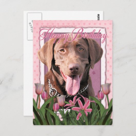 Gelukkige Verjaardag - Labrador - Chocolade Briefkaart (Voorkant / Achterkant)