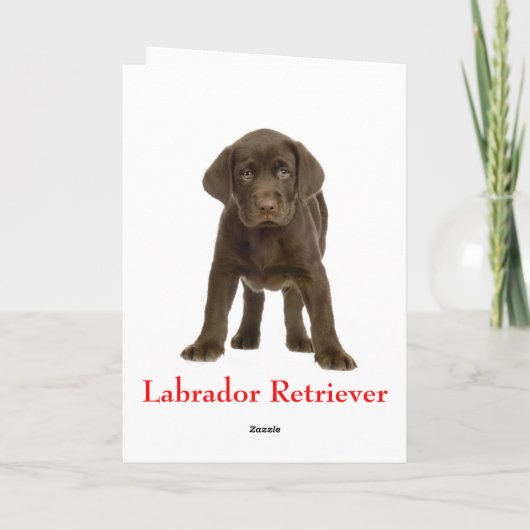 Gelukkige Verjaardag Labrador Retriever Puppy Dog  Kaart (Achterkant)