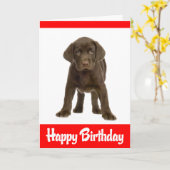 Gelukkige Verjaardag Labrador Retriever Puppy Dog  Kaart (Gele Bloem)
