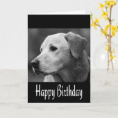 Gelukkige Verjaardag Labrador Retriever Puppy Dog  Kaart (Gele Bloem)