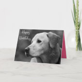Gelukkige Verjaardag Labrador Retriever Puppy Kaar Kaart (Voorkant)