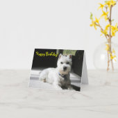 Gelukkige Verjaardag, Lege, MiniSchnauzer Kaart (Gele Bloem)