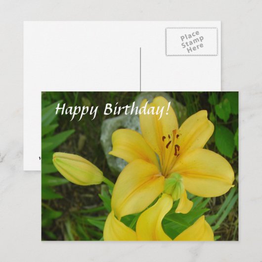 Gelukkige Verjaardag Lily Briefkaart (Voorkant / Achterkant)