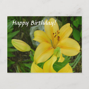 Gelukkige Verjaardag Lily Briefkaart
