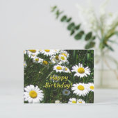 Gelukkige verjaardag madeliefjes briefkaart (Staand voorkant)