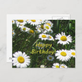 Gelukkige verjaardag madeliefjes briefkaart (Voorkant / Achterkant)