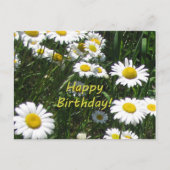 Gelukkige verjaardag madeliefjes briefkaart (Voorkant)